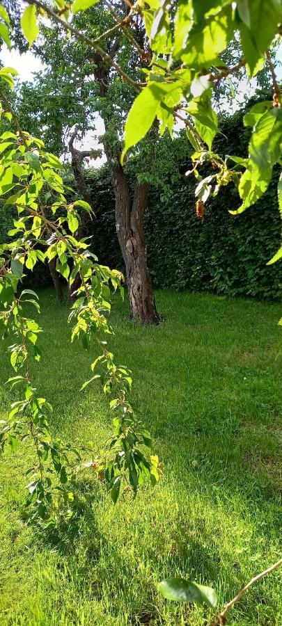 Le Gai Pinson Vila Beausaint Exterior foto